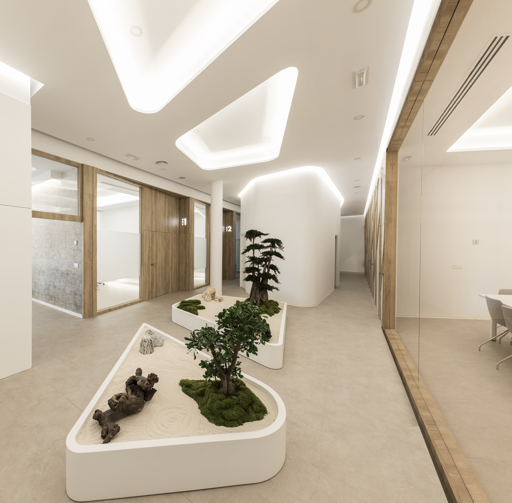 DISEÑO CLÍNICA DENTAL